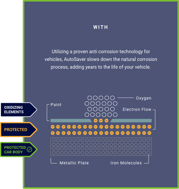 Vehicle protected from rust with The Module